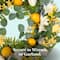 Scentsicles Stick Lemon 'n Lilies and Berryvines & Wildflowers, 2 pack of 6